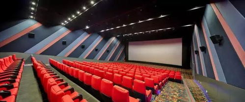 光影相伴,感恩有您,奧斯卡再添新成員